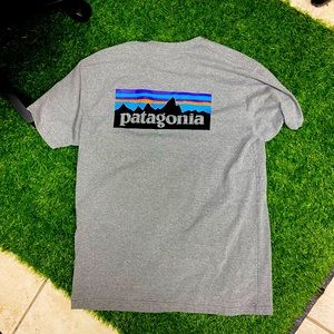 Patagonia mens tee